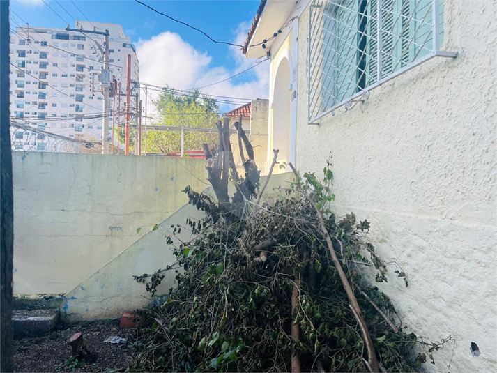 Foto REO1099859
