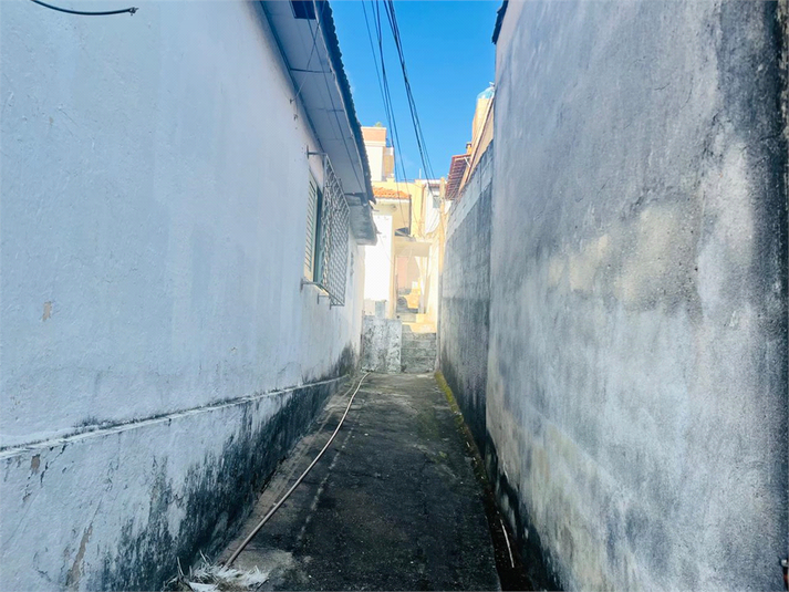 Foto REO1099859