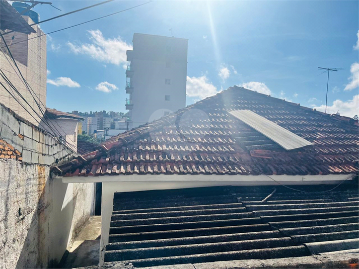 Foto REO1099859