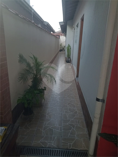 Foto REO1099860