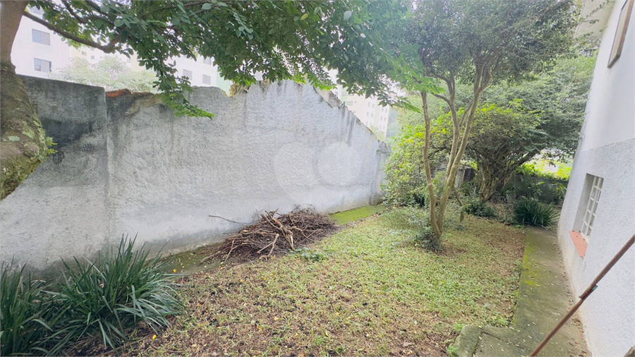 Foto REO1099862