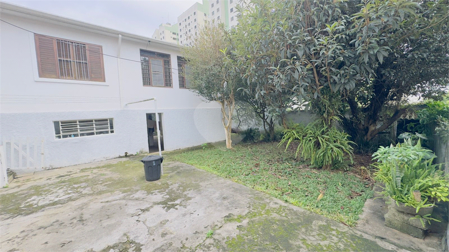 Foto REO1099862