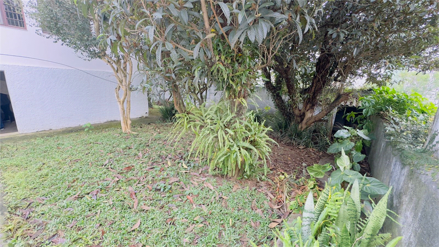 Foto REO1099862