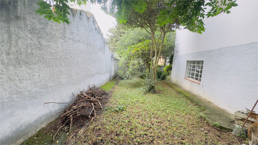 Foto REO1099862