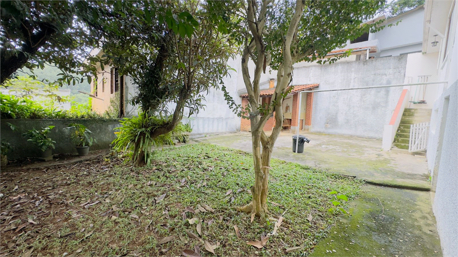 Foto REO1099862