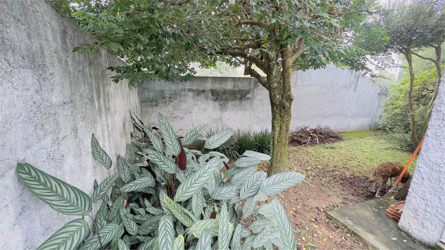 Foto REO1099862