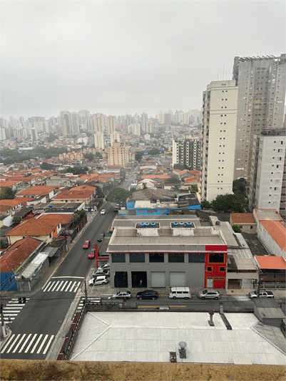 Foto REO1099866