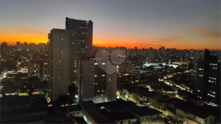 Foto REO1099866