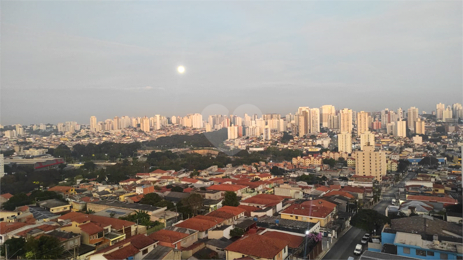 Foto REO1099866