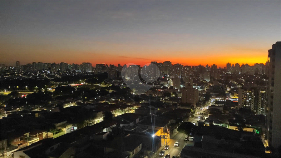 Foto REO1099866