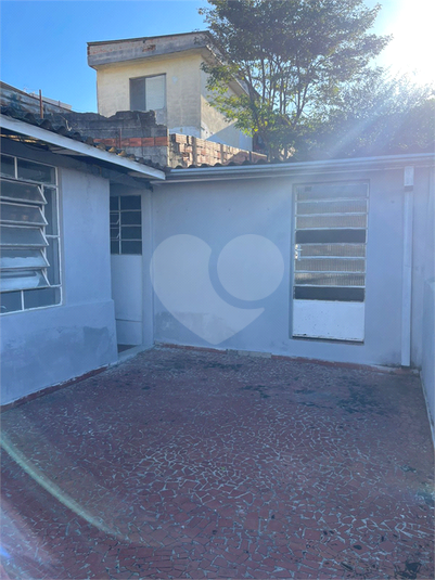 Foto REO1099869