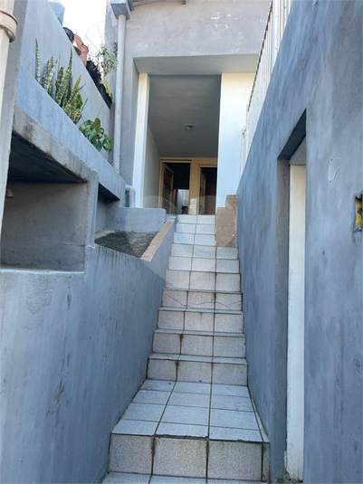 Foto REO1099869