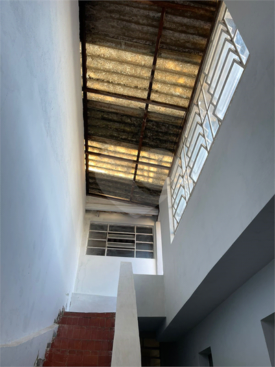 Foto REO1099869