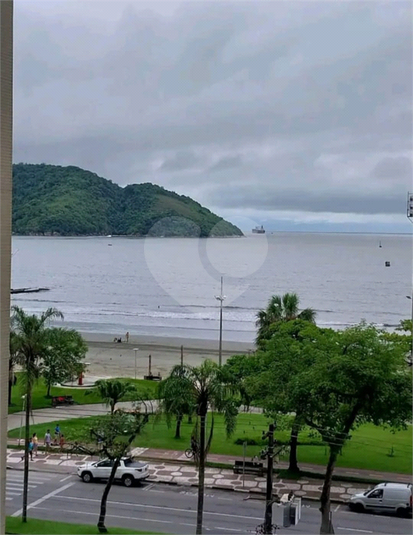 Foto REO1099871