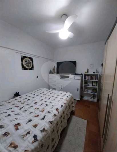Foto REO1099871