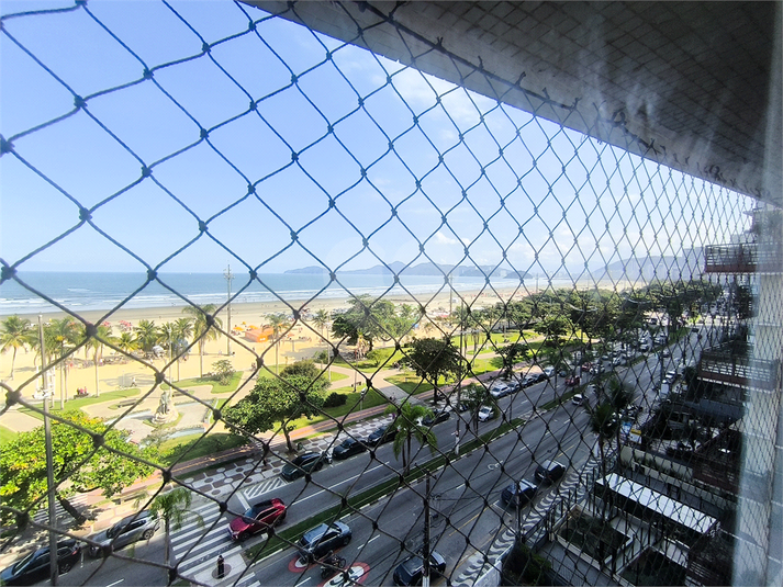 Foto REO1099874