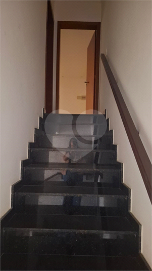 Foto REO1099879