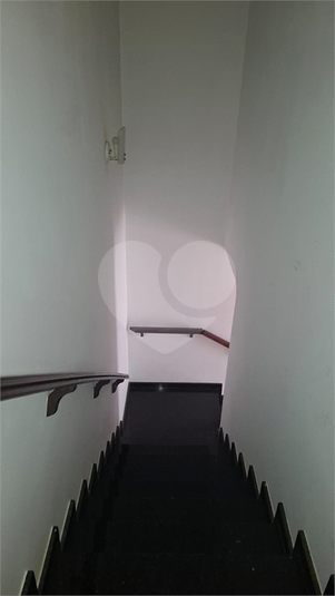 Foto REO1099879