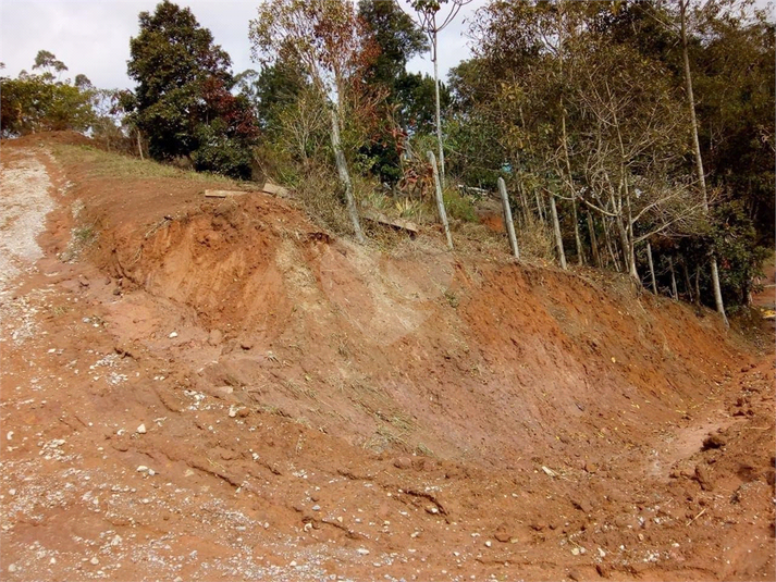 Foto REO1099881