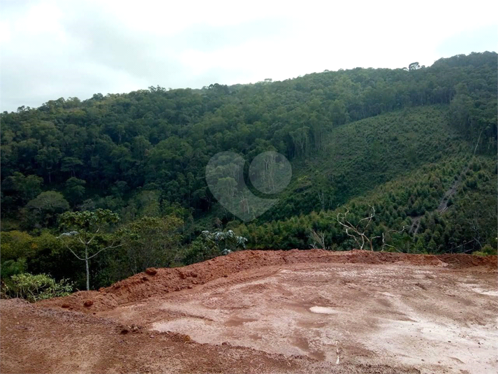Foto REO1099881
