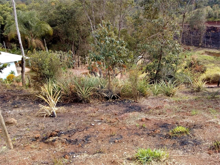 Foto REO1099881
