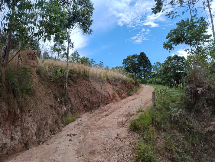 Foto REO1099881