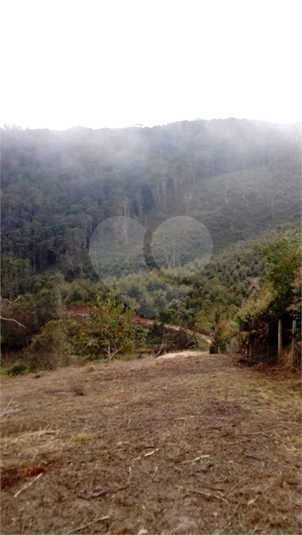 Foto REO1099881
