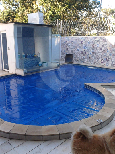Foto REO1099886