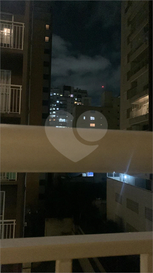 Foto REO1099897