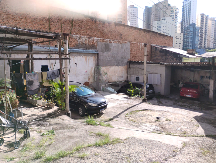 Foto REO1099901