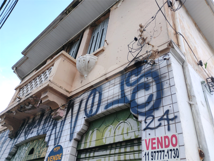 Foto REO1099901