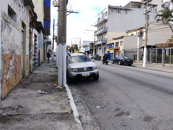 Foto REO1099901