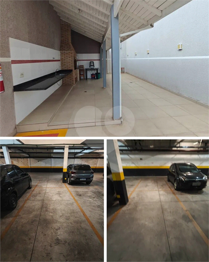 Foto REO1099903