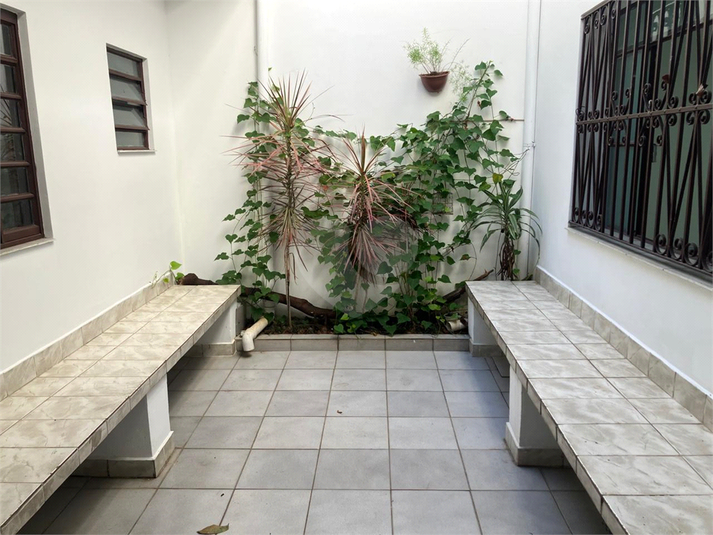 Foto REO1099904