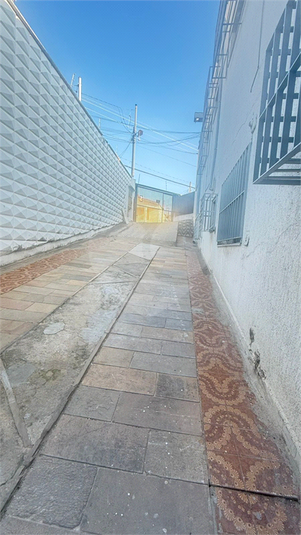 Foto REO1099905