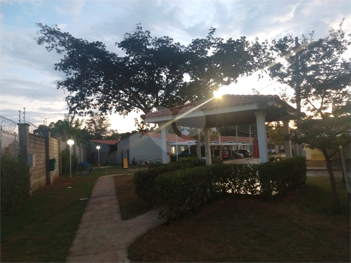Foto REO1099913