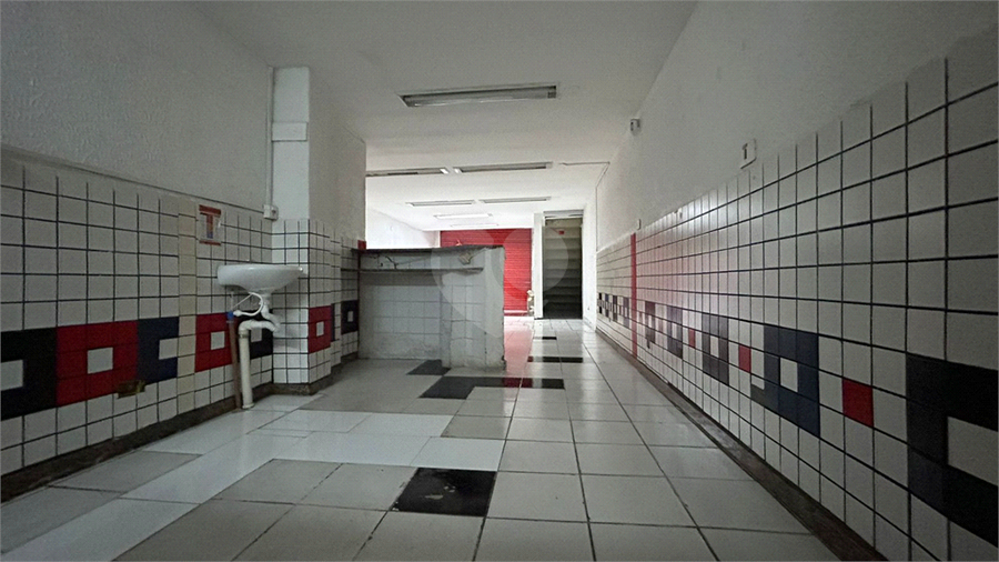 Foto REO1099924