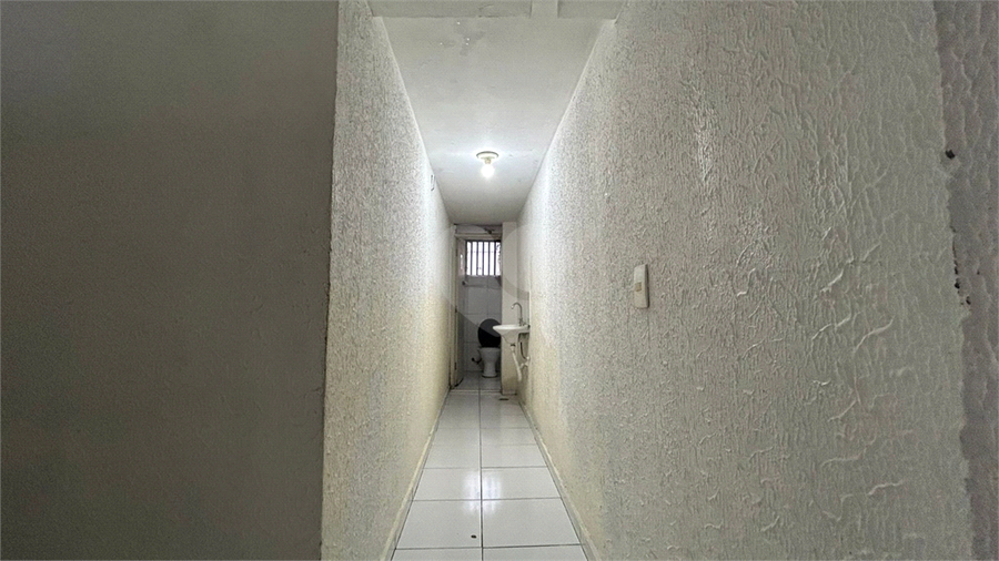 Foto REO1099924