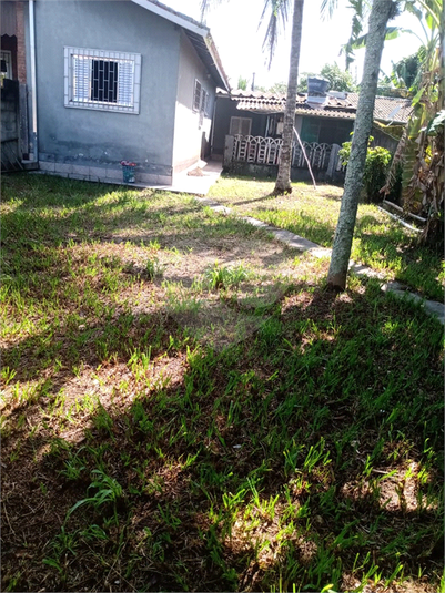 Foto REO1099928