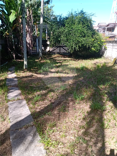 Foto REO1099928