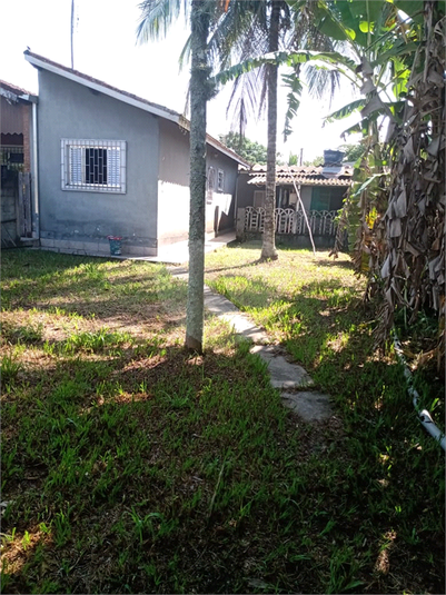 Foto REO1099928