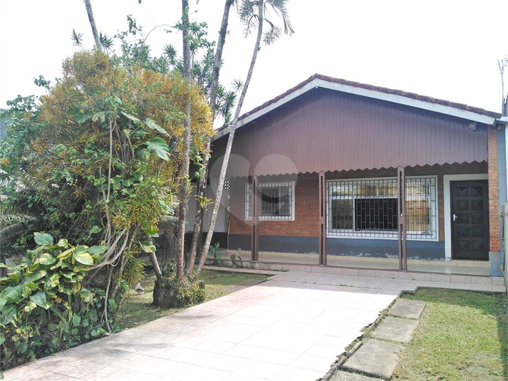 Foto REO1099928