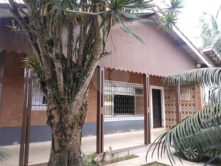 Foto REO1099928