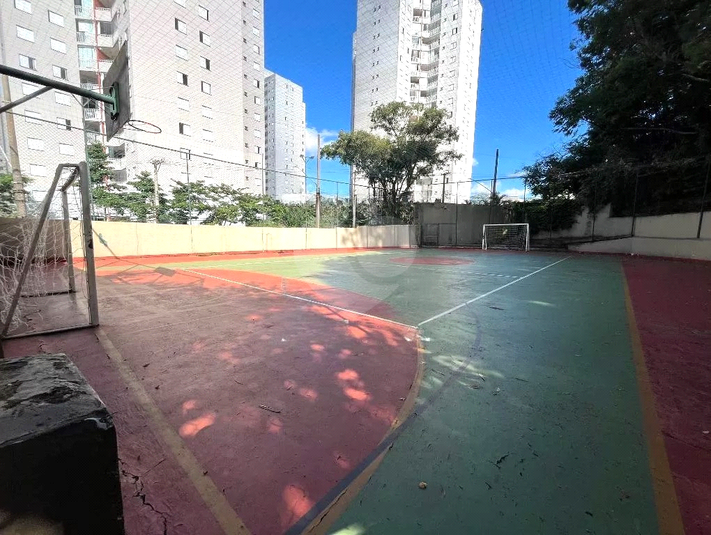 Foto REO1099937