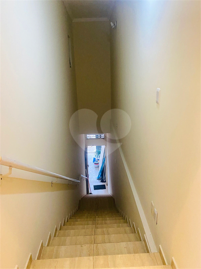 Foto REO1099941