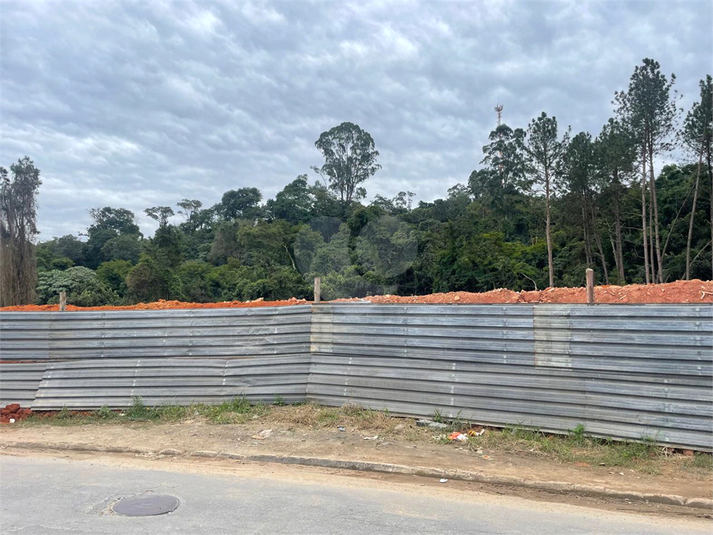 Foto REO1099942