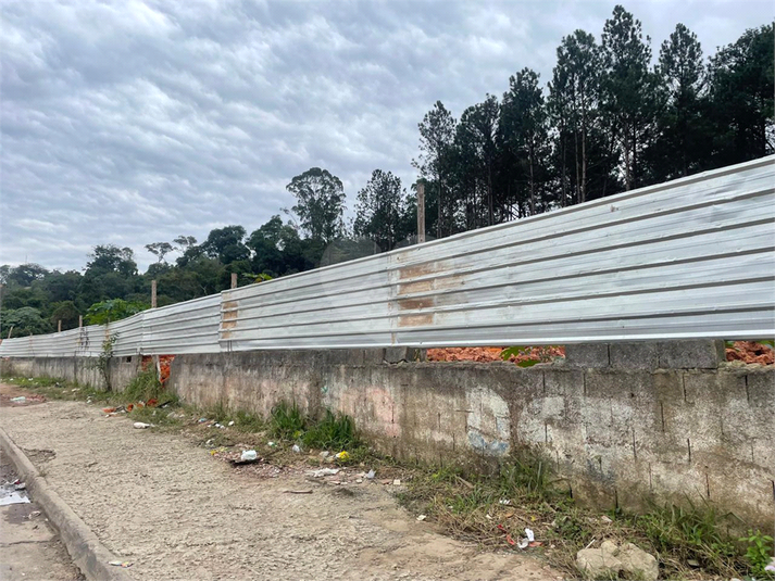 Foto REO1099942