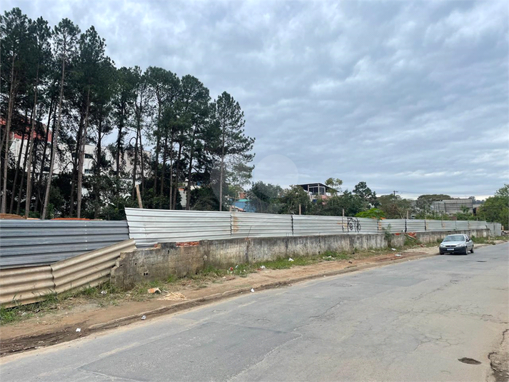 Foto REO1099942