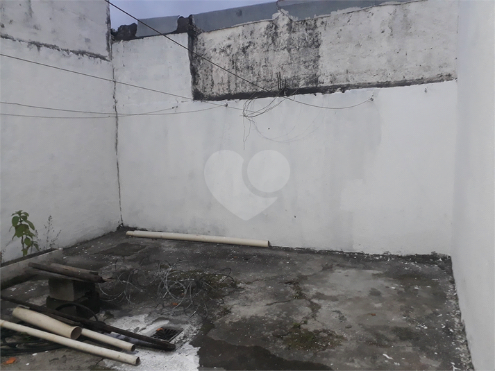 Foto REO1099944