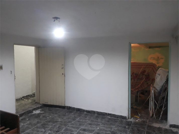 Foto REO1099944